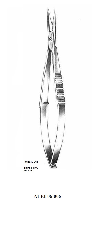 WESTCOTT BLUNT POINT CURVED